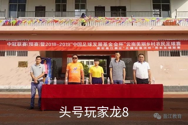 头号玩家龙8公司介绍图片